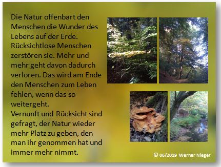 Fotos mit Text 511.jpg